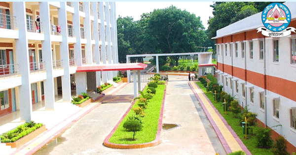 BAF Shaheen College Job Circular 2024